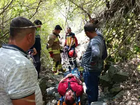 Kekik toplarken uçurumdan düşen adam canından oluyordu
