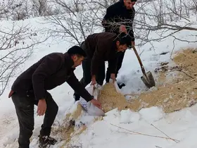 Kemah’ta yaban hayatı unutulmadı
