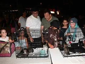 Kemer Belediyesi’nde "Can dostları" için konser

