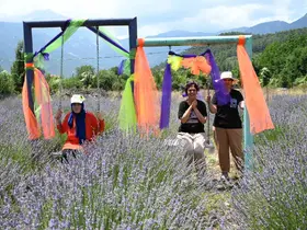 Kemer’de "Mor turizm" başlıyor
