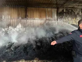 Keşan’da çıkan yangında bin saman balyası yandı
