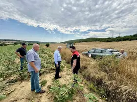 Keşan’da yağmur ve fırtınadan zarar gören ekili alanlarda inceleme
