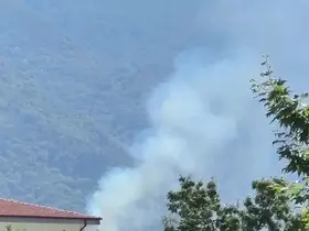 Kestel’de orman yangını

