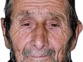 Kestiği ağacın altında kalan yaşlı adam hayatını kaybetti