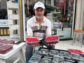 Kıraç arazileri aronya ve ahududugil yetiştirerek değerlendirdi
