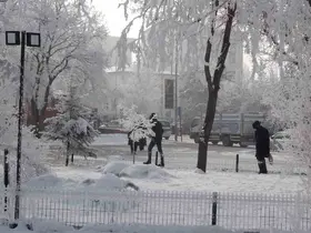 Kırağı sonrası görsel şölen oluştu
