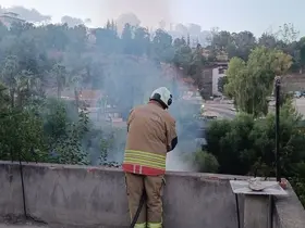 Kırıkhan’da bahçe yangını büyümeden söndürüldü
