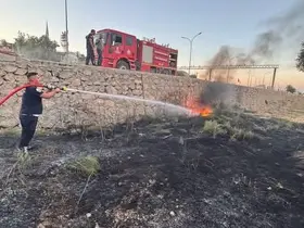 Kırıkhan’da zeytinlik alan yangını
