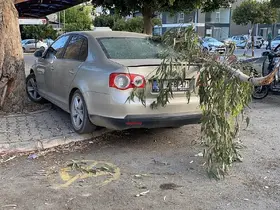 Kırılan ağaç dalı otomobile zarar verdi
