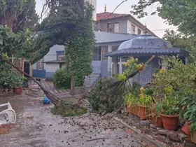 Kırkağaç’ta fırtına hayatı olumsuz etkiledi
