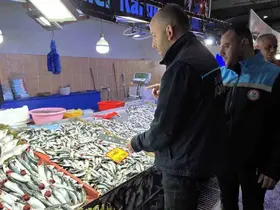 Kırklareli’nde balık tezgahları mercek altında
