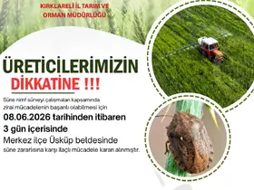 Kırklareli’nde süne alarmı: Üreticilere 3 günlük ilaçlama çağrısında bulunuldu
