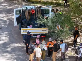 Kırlangıç Vadisi’nde yeşil seferberlik
