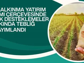 Kırsal kalkınma yatırımlarına yüzde 70’e varan hibe desteği
