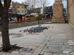Kırşehir’de tarihi Kapucu Camii güvercinlerin yuvası oldu
