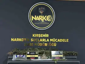 Kırşehir’de uyuşturucu operasyonu: 1 tutuklama
