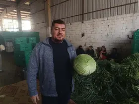 Kışlık ürünlerde hasat başladı
