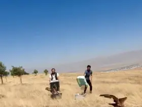 Kızıl Şahinler özgürlüğe uçtu

