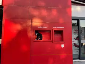 Kızılay’ın sevimli bekçisi
