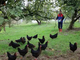 Kocaeli’de kırsal kalkınmaya "kanatlı" destek
