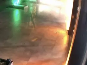 Kocaeli’de oto galeriye el bombalı saldırı: 5 kişi tutuklandı
