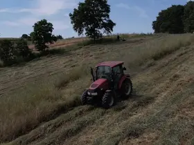 Kocaeli’de süt otu çiftçiye can suyu oldu
