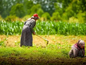 Kocaeli’de tarım ve hayvancılığa 7 yılda 1,5 milyar lirayı aşkın destek sağlandı
