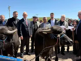 Kocaeli’deki manda yetiştiricilerine 3,4 milyon liralık destek
