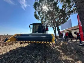 Koçarlı’da ayçiçeğindeki hibe desteği meyvesini verdi, ürünler hasat edildi
