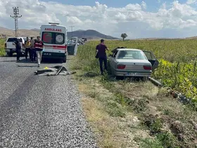Komşudan kardeşlere kanlı pusu: 2 ölü