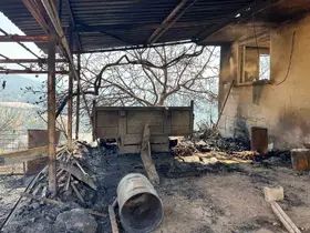 Kontrol altına alınan Kumluca orman yangınında hasar tespit çalışmaları başladı
