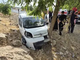 Kontrolden çıkan araç ağaca çarptı: 2 yaralı
