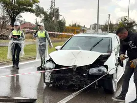Kontrolden çıkan otomobil önce direği sonra ağacı devirdi: 1 yaralı

