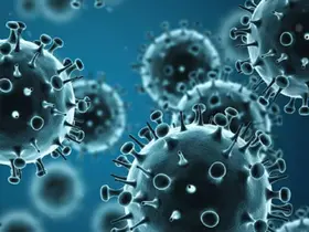 Konya’da Influenza şüphesi