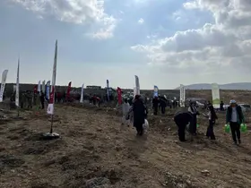 Konya’da 33 bin 811 fidan toprakla buluştu
