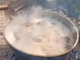 Konya’da Bağ Bozumu Bereketi: Geleneksel Pekmez Mesaisi Başladı