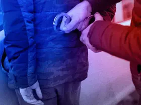 Konya’da Bahçedeki 3 Kedi Ölü Bulundu: Şüpheli Gözaltına Alındı