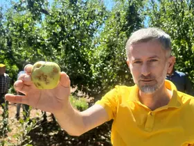 Konya’da dolu etkili oldu, bahçeler büyük zarar gördü
