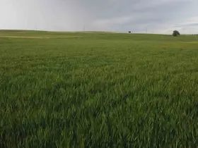 Konya’da yüksek kesimler yağışa doydu
