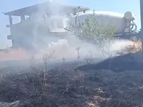 Kopan elektrik telleri yangına neden oldu
