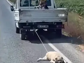 Köpeği kamyonetin arkasına bağlayıp sürükleyerek götürdü
