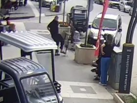 Köpeğine saldıran kediye tekme attı, o anlar kameraya yansıdı
