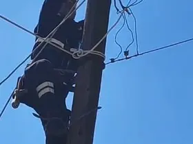 Köpeklerden korkup elektrik direğine çıkan kedi kurtarıldı

