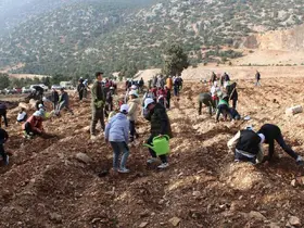 Korkuteli’nde 3 bin fidan toprakla buluştu
