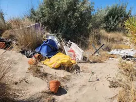Koruma altındaki kum zambakları çöplerin arasında kaldı
