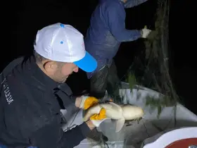 Kovada Gölü’nde kaçak avcılığa gece denetimi
