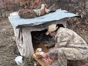 Köy yoluna bırakılan yavru köpeklere jandarmandan şefkat eli
