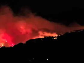 Köyceğiz’de orman yangını müdahale devam ediyor
