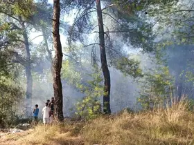 Köyceğiz’de orman yangınına erken müdahale
