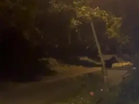 Köye inen ayı köylülere heyecan ve korku yaşattı
